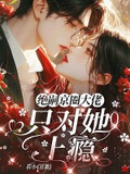 小说京圈