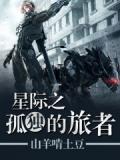 星际2孤独守卫